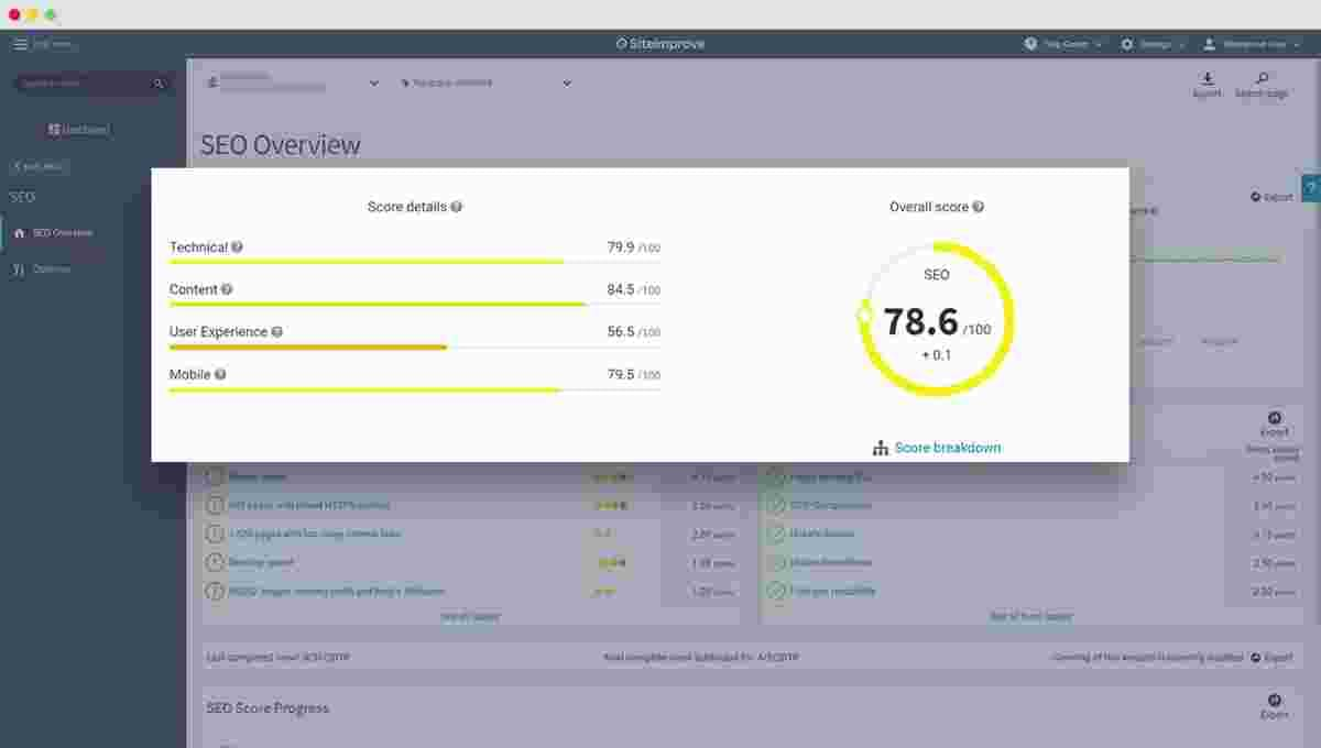 A screenshot of SiteImprove's interface showing an SEO Overview 