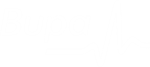 A white version of Bupa's logo