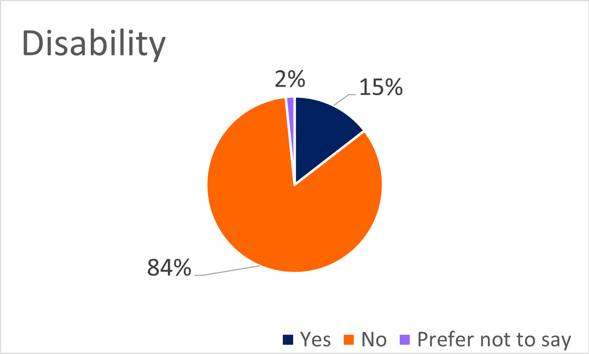 A graph showing the disability statistics of the Nexer Digital team