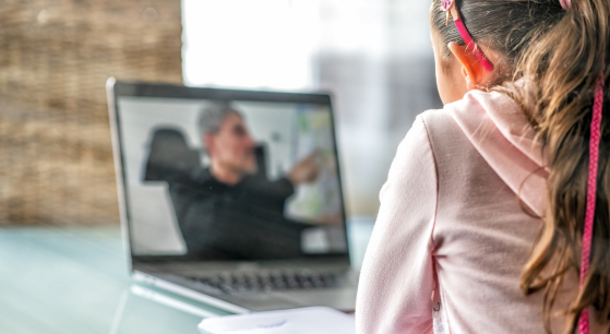 A girl is sitting facing away from the camera, watching a man speaking on a laptop screen.